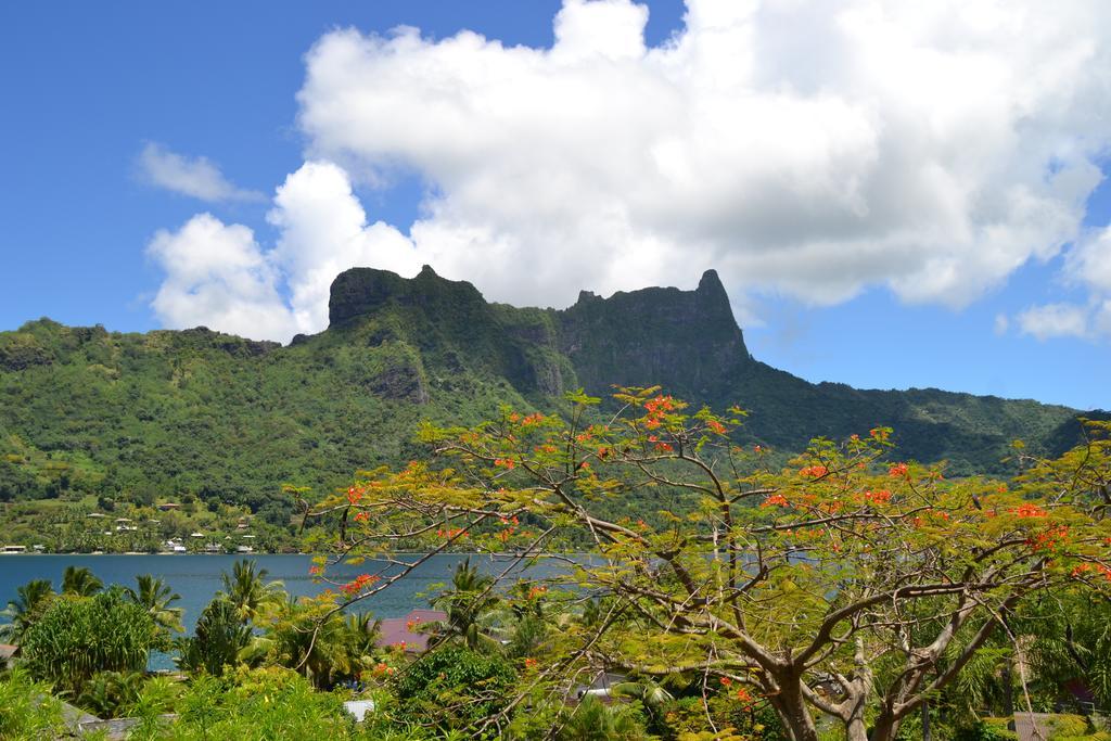 Te Fare Hinahei Lägenhet Moorea Exteriör bild