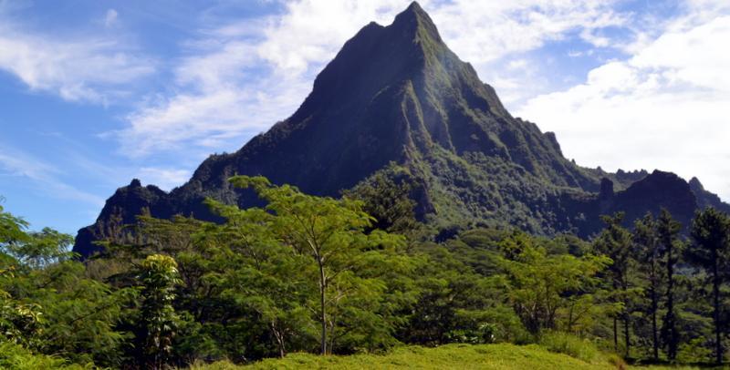Te Fare Hinahei Lägenhet Moorea Exteriör bild